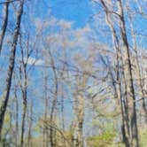 Review photo of Finger Lakes State Park Campground by Shawn S., May 21, 2026