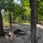 Review photo of Graham Cave State Park Campground by Connie B., September 16, 2026