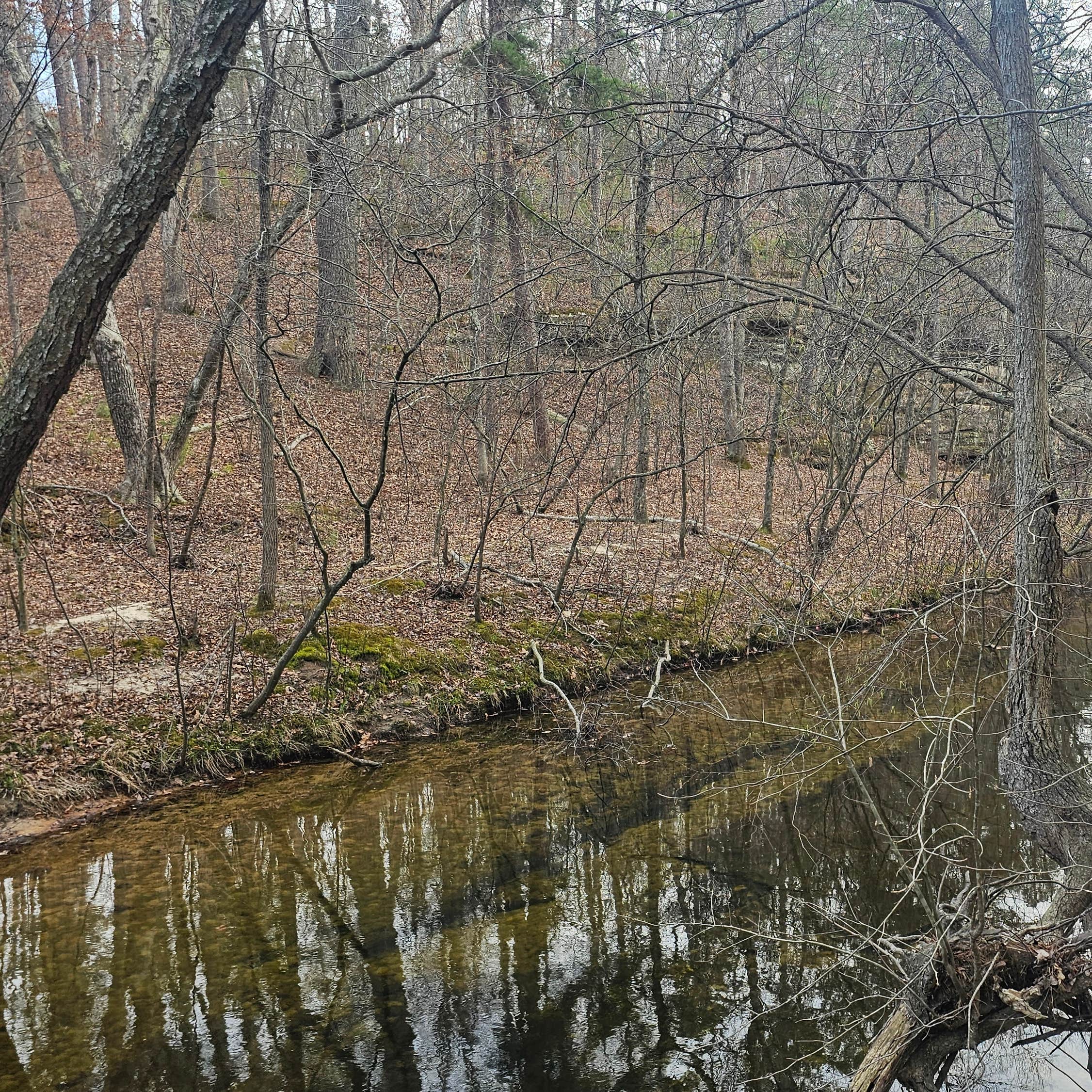 Hawn State Park Campground Ste. Genevieve, MO