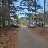 Review photo of Hawn State Park Campground by Katrin M., March 24, 2024