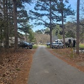 Review photo of Hawn State Park Campground by Katrin M., March 24, 2024