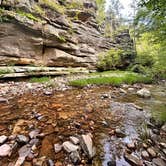 Review photo of Hawn State Park Campground by Shirlee A., May 29, 2025