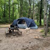 Review photo of Hawn State Park Campground by Tamsyn K., July 3, 2025