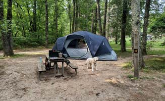 Tamsyn K.'s photo at Hawn State Park Campground near Fults, IL