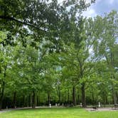 Review photo of Hawn State Park Campground by Shirlee A., May 29, 2025