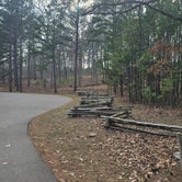 Review photo of Hawn State Park Campground by Katrin M., March 24, 2024