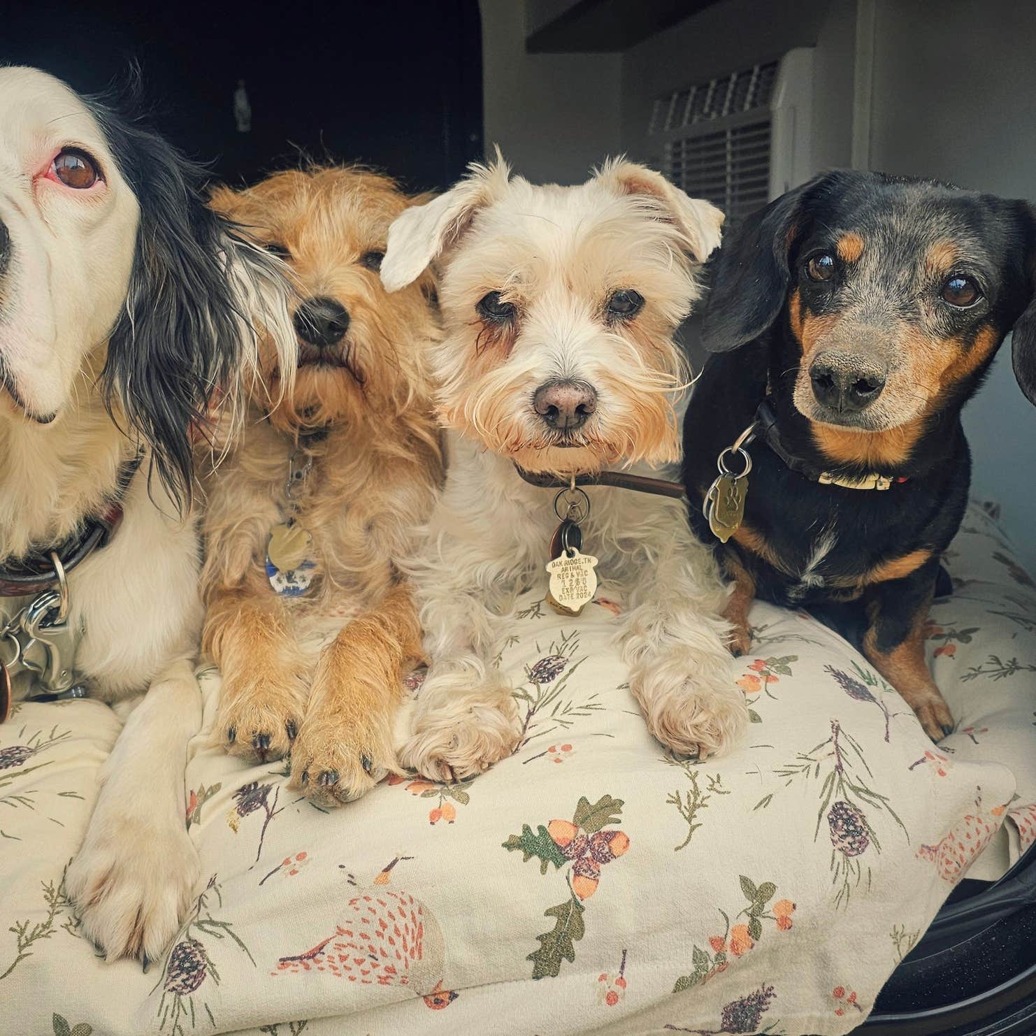 Hawn State Park Campground Ste. Genevieve, MO