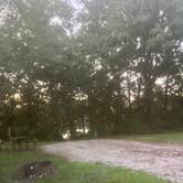 Review photo of Henry Sever Lake Conservation Area by TANK'S NOMADIC TAILS , August 8, 2025