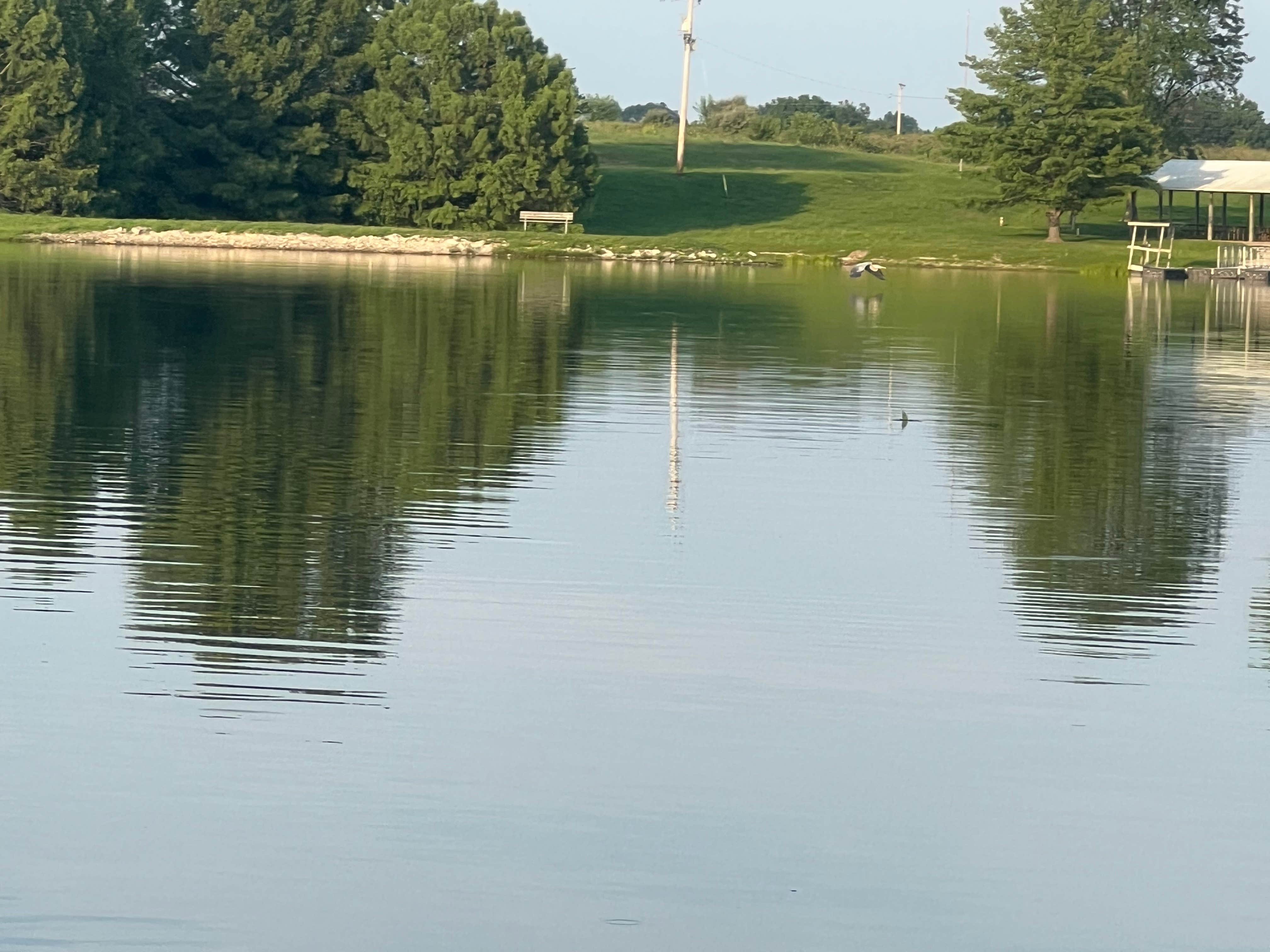 Camper submitted image from Henry Sever Lake Conservation Area - 3
