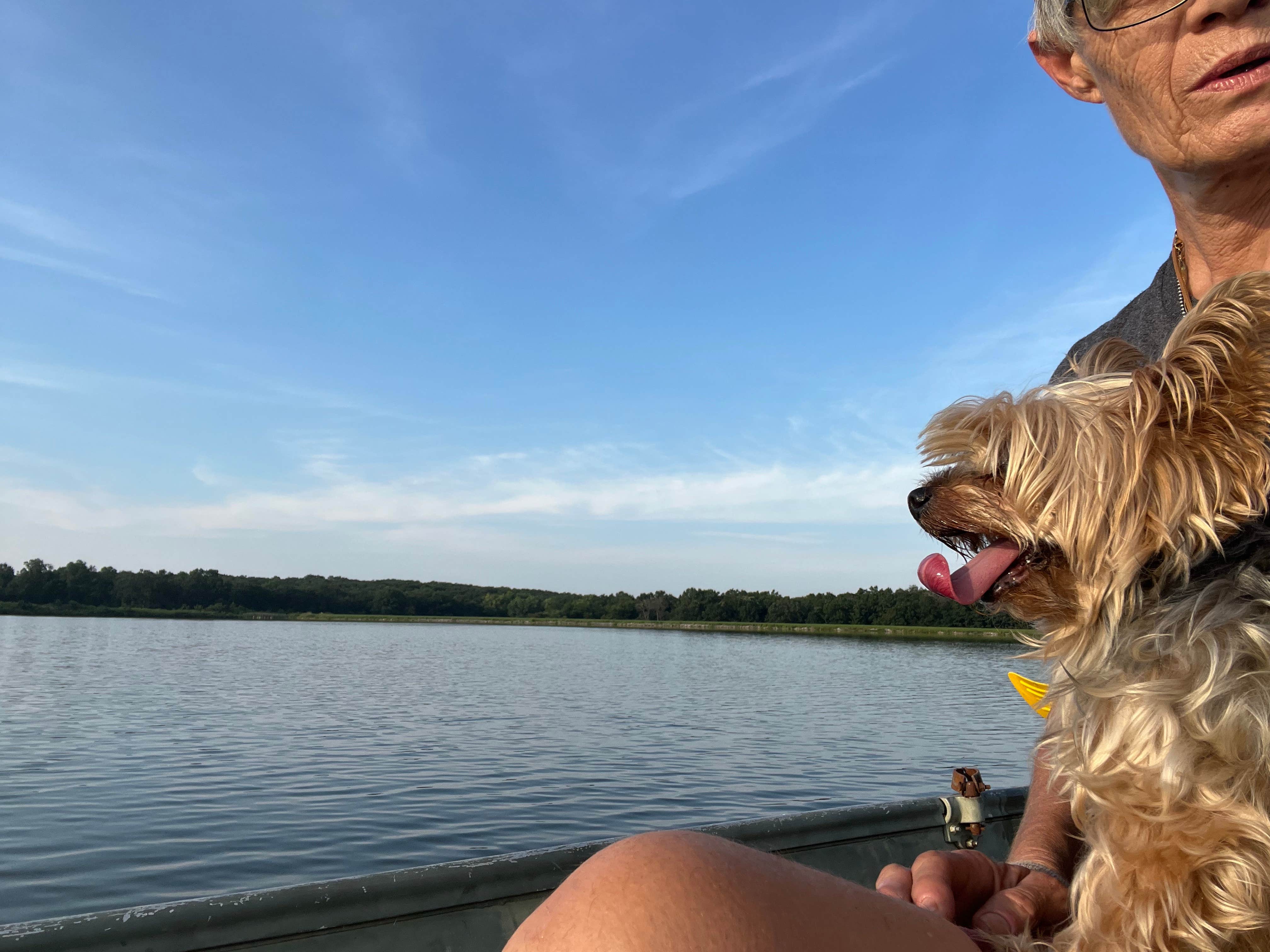 TANK'S NOMADIC TAILS's photo of camping with pets at Henry Sever Lake Conservation Area near Kirksville, MO