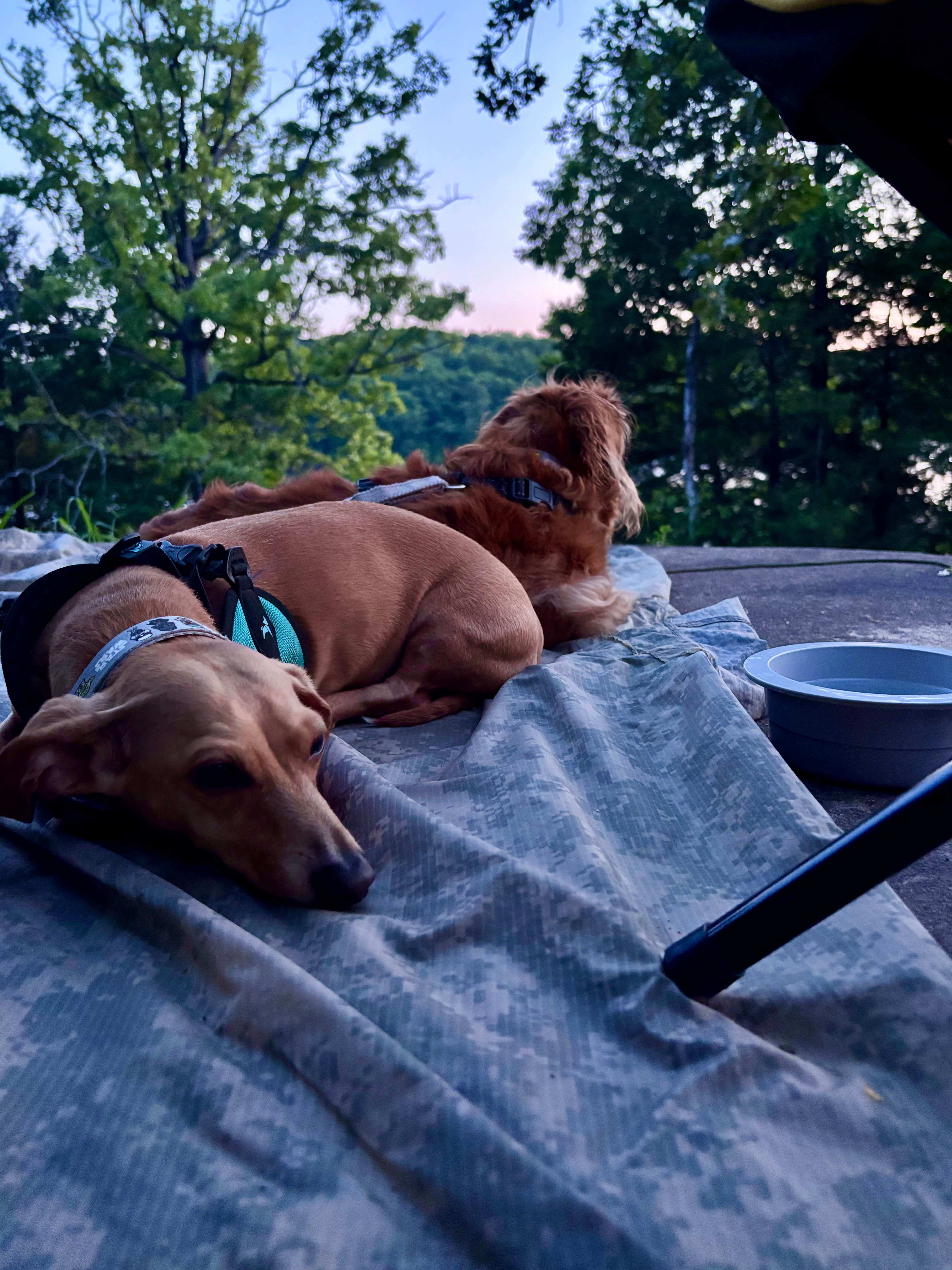 Camper-submitted photo at Military Park Fort Leonard Wood Lake of the Ozarks Recreation Area near Camdenton, MO