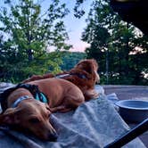Review photo of Military Park Fort Leonard Wood Lake of the Ozarks Recreation Area by Tori M., May 20, 2026