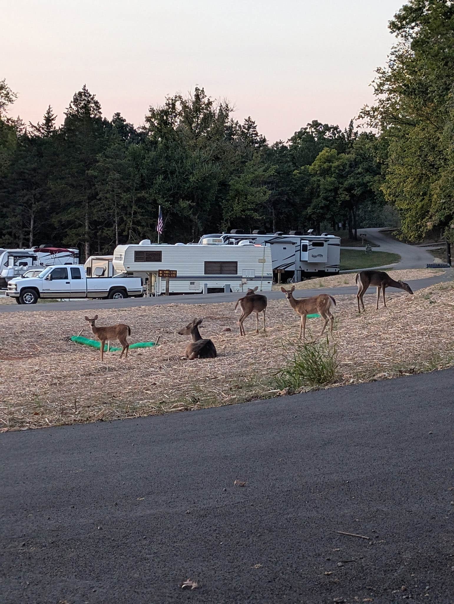 Tammy S.'s photo of rv camping at Lake of the Ozarks State Park Campground near Eldon, MO
