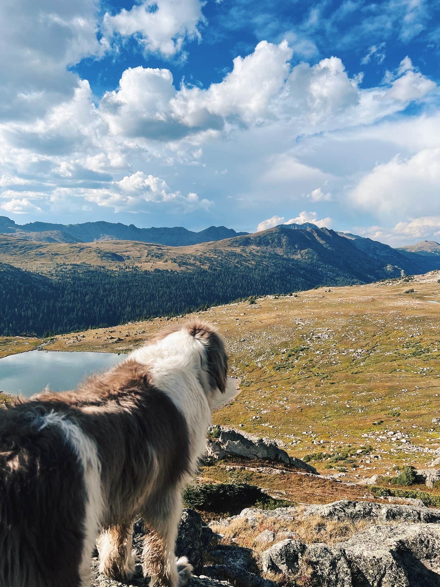 Camper-submitted photo at Missouri Lake near Meredith, CO