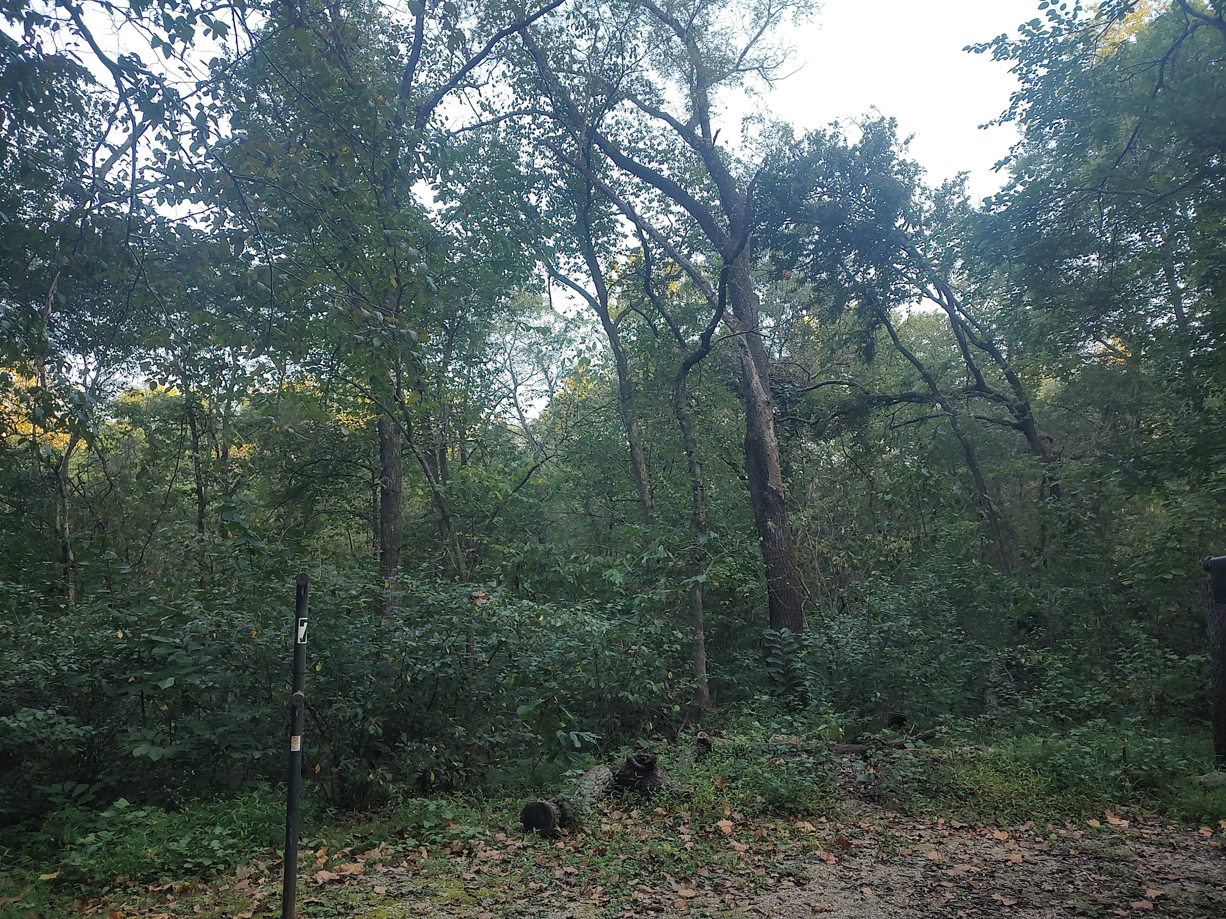 Camping near Three Springs RV Park & Campground: Lane Spring Recreation Area, Edgar Springs, Missouri
