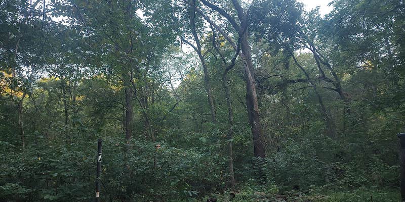 Camper submitted image from Lane Spring Recreation Area