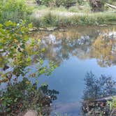 Review photo of Lane Spring Recreation Area by Andy M., August 31, 2026