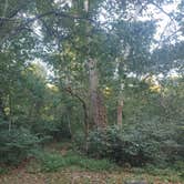 Review photo of Lane Spring Recreation Area by Andy M., August 31, 2026