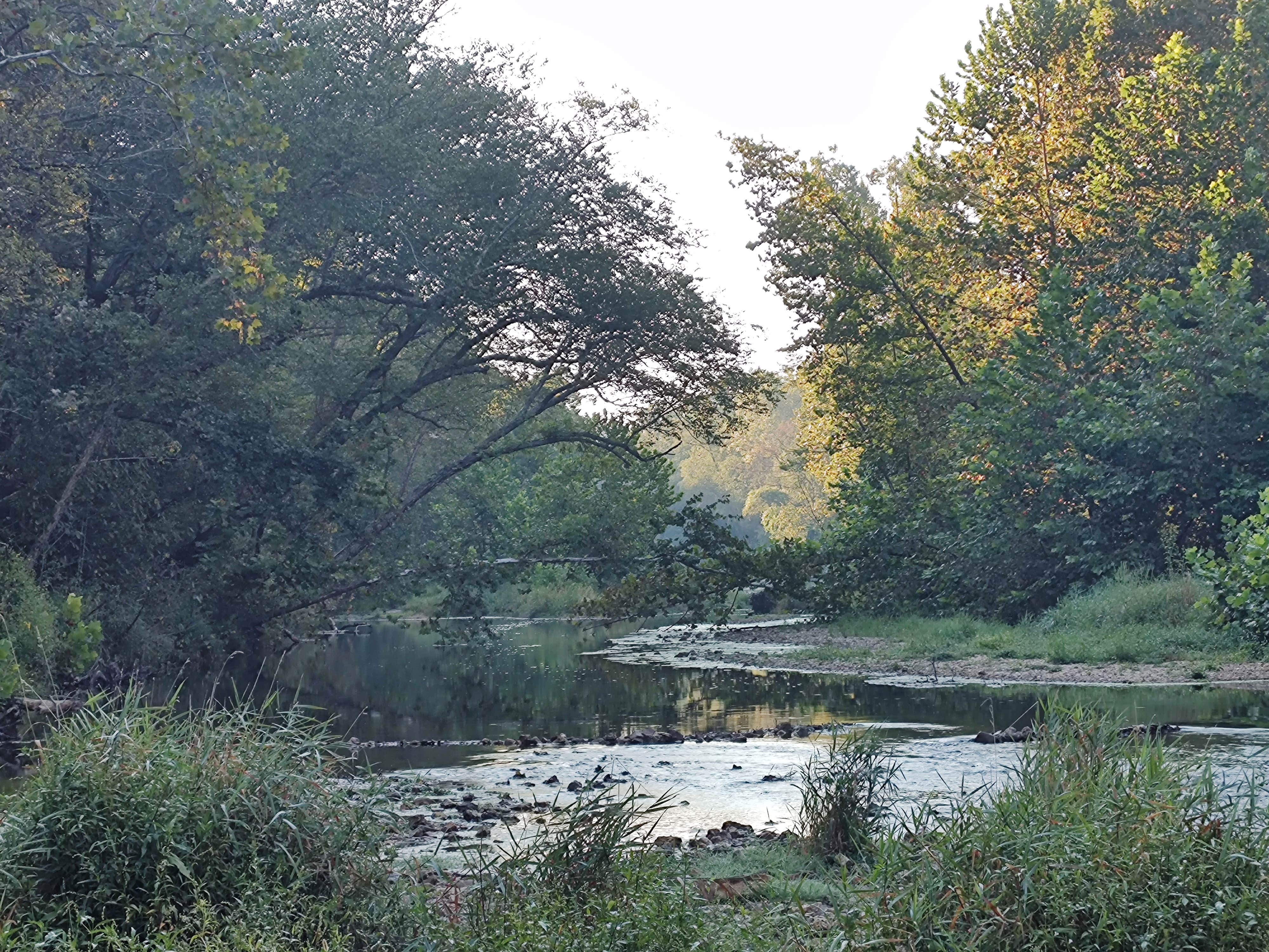 Camper-submitted photo at Lane Spring Recreation Area near Newburg, MO