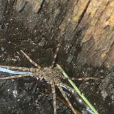 Review photo of Little Scotia Pond by Jordan D., September 1, 2026