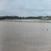 Review photo of Long Branch State Park Campground by Shawn S., May 20, 2026