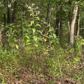 Review photo of Meramec State Park Campground by Scott D., September 9, 2025