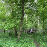 Review photo of Meramec State Park Campground by Gwenn W., April 29, 2024