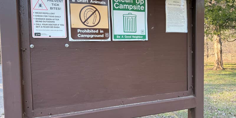 Camper submitted image from Paddy Creek Recreation Area