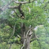Review photo of Pershing State Park Campground by Shawn S., May 20, 2026