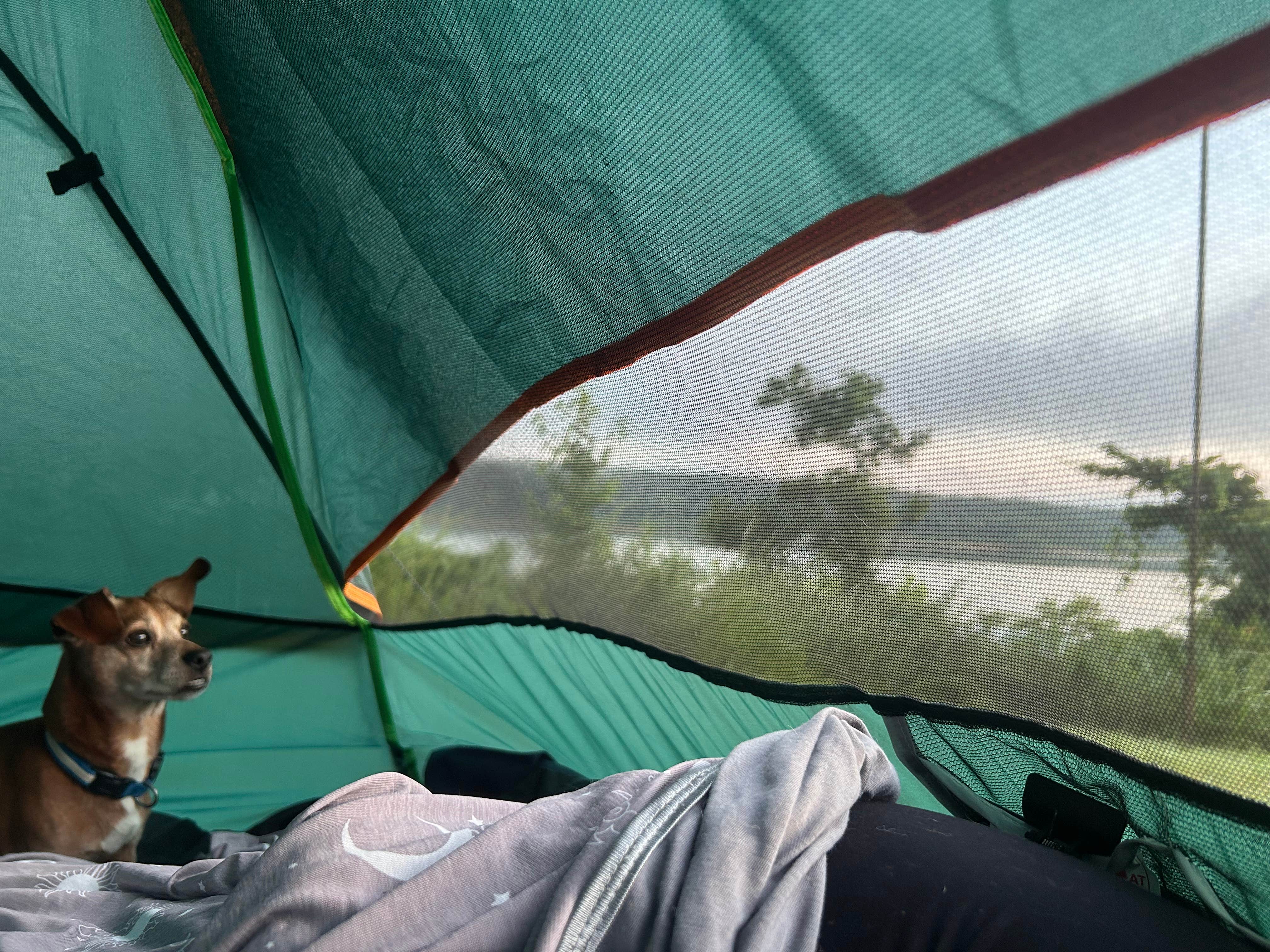 Camper-submitted photo at Piedmont Park near Van Buren, MO