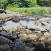 Review photo of Roaring River State Park Campground by Shawn S., May 20, 2026
