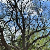 Review photo of Roaring River State Park Campground by Jennifer O., May 4, 2025