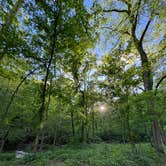 Review photo of Roaring River State Park Campground by Jennifer O., May 4, 2025