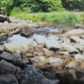 Review photo of Roaring River State Park Campground by Shawn S., May 20, 2026