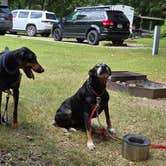 Review photo of Roaring River State Park Campground by Mary C., July 19, 2026