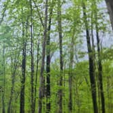 Review photo of Robertsville State Park Campground by Shawn S., May 21, 2026
