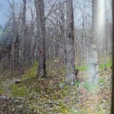 Review photo of Robertsville State Park Campground by Shawn S., May 21, 2026