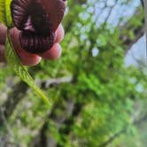 Review photo of Robertsville State Park Campground by Shawn S., May 21, 2026