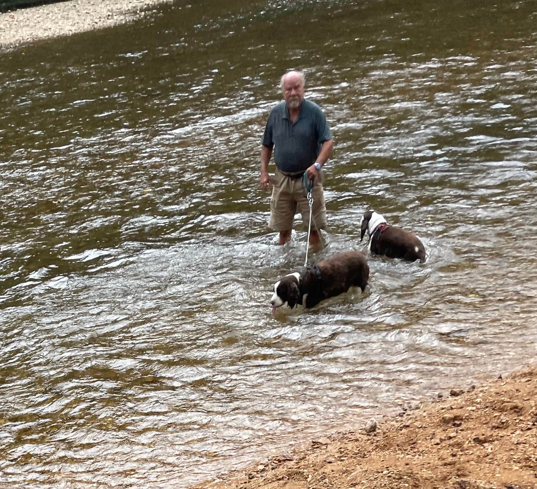 Joel R.'s photo of camping with pets at Round Spring Campground — Ozark National Scenic Riverway near Mountain View, MO