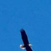 Review photo of Round Spring Campground — Ozark National Scenic Riverway by Theresa H., April 14, 2025