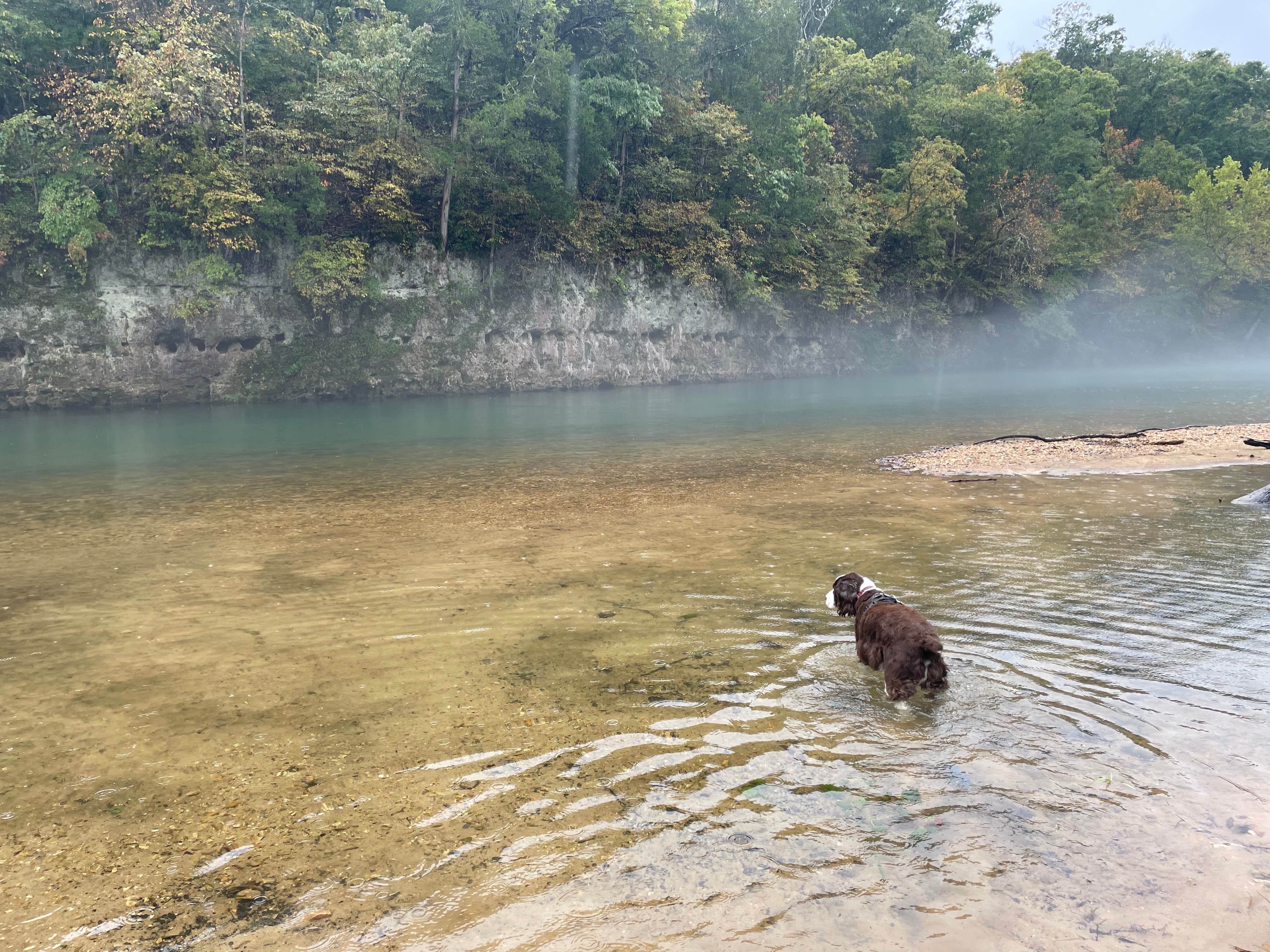 Joel R.'s photo of camping with pets at Round Spring Campground — Ozark National Scenic Riverway near West Plains, MO