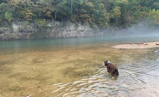 Joel R.'s photo of camping with pets at Round Spring Campground — Ozark National Scenic Riverway near Ozark National Scenic Riverways