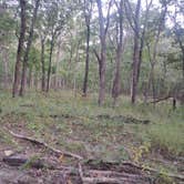 Review photo of St. Joe State Park Campground by Jeremy C., September 27, 2023