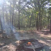 Review photo of St. Joe State Park Campground by Jeremy C., September 27, 2023