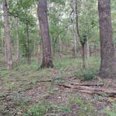 Review photo of St. Joe State Park Campground by Jeremy C., September 27, 2023