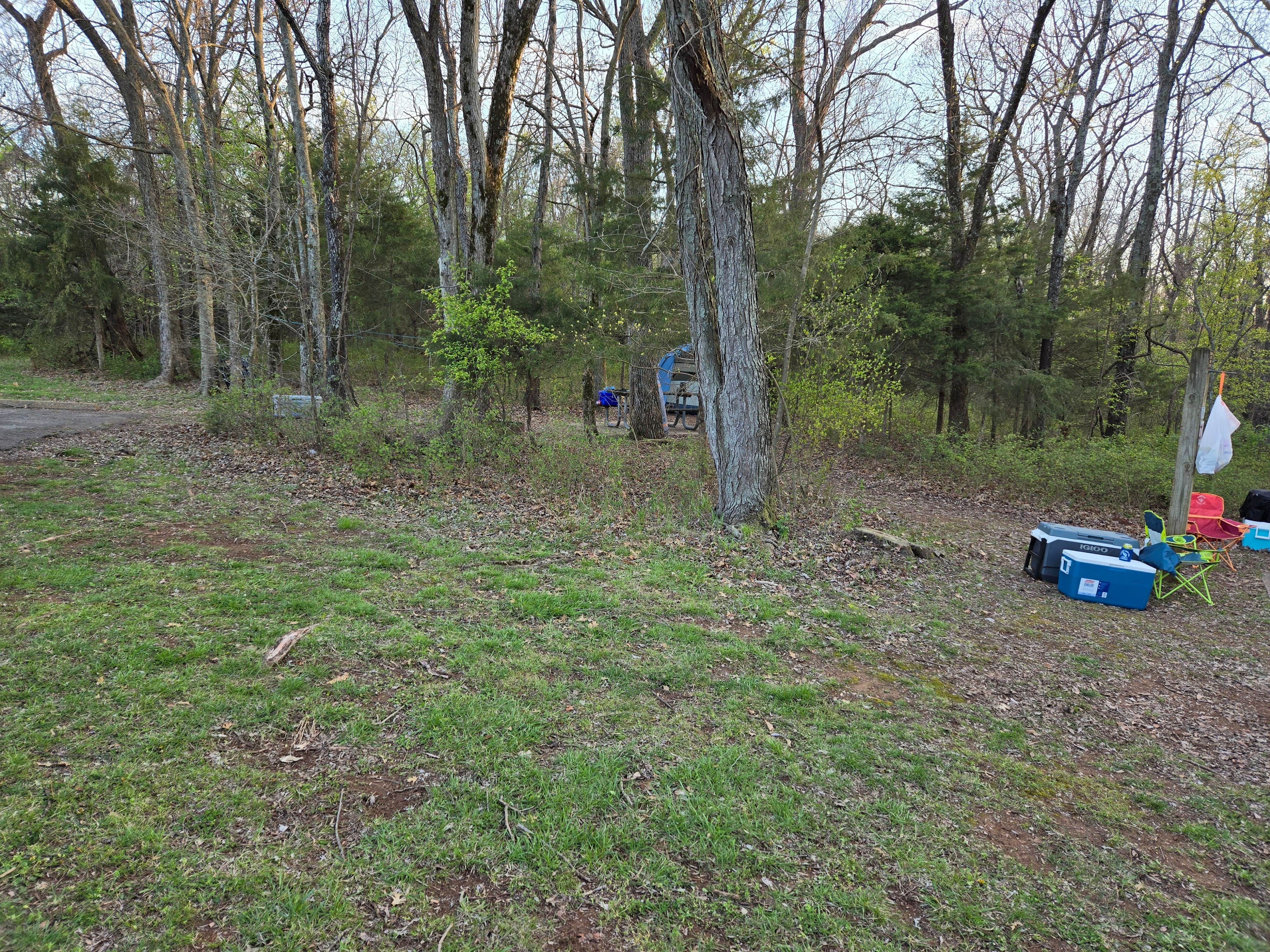 Camper-submitted photo at Stockton State Park Campground near Ash Grove, MO