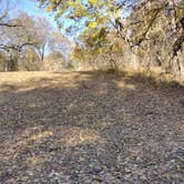 Review photo of Thomas Hill Reservoir Conservation Area by Patric H., April 25, 2025