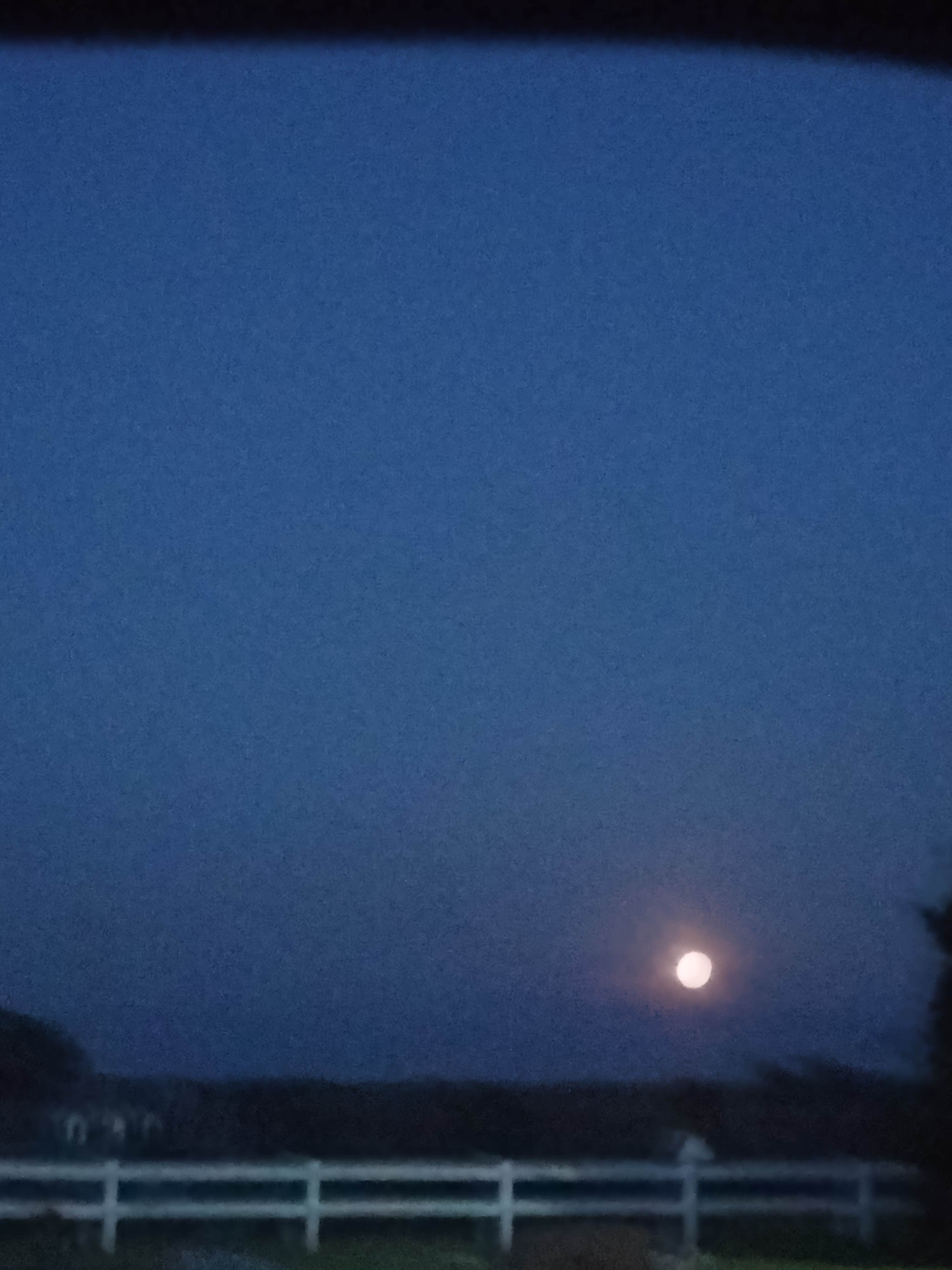 Camper-submitted photo at Thomas Hill Reservoir Conservation Area near Macon, MO