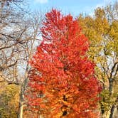 Review photo of Annie and Abel Van Meter State Park Campground by Scott C., October 13, 2026