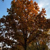 Review photo of Annie and Abel Van Meter State Park Campground by Scott C., October 13, 2026